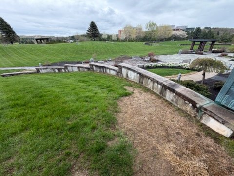 Pressure Washing Before