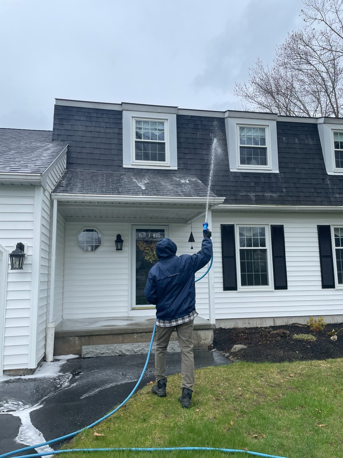 Siding Soft Wash Detail