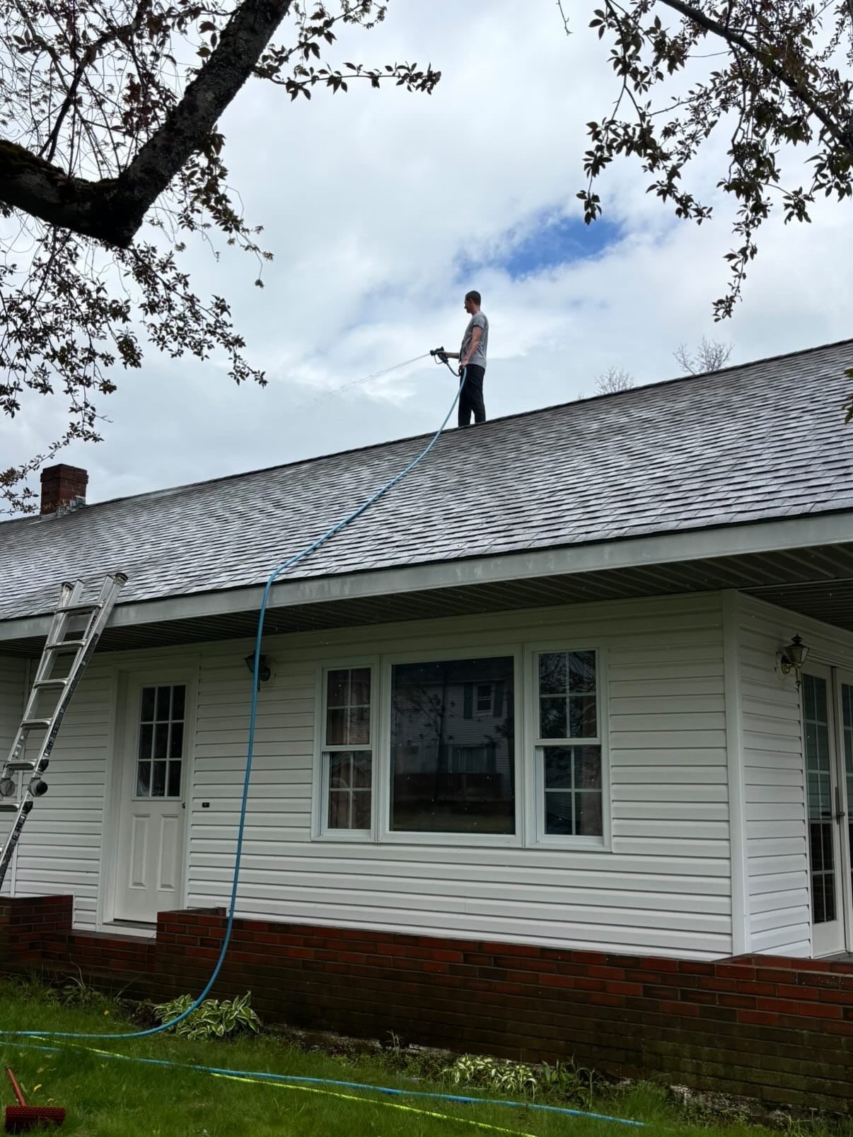 Soft Wash Roof Cleaning